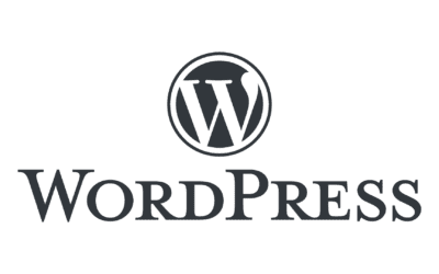 Créez des sites web professionnels avec WordPress et Divi